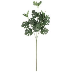 Viheroksa Peikonlehti 61cm