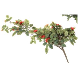 Ruusukoynnos 75cm kimppu