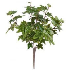 Murattikimppu korkeus 39 cm