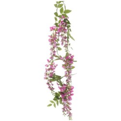 Wisteriakoynnoslajitelma 180cm lila