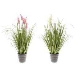 Kukkiva ruoho ruukussa 56 cm