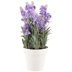 Laventeli ruukussa 26cm vaaleansininen