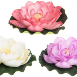 Lotus kukka kelluva 21 cm