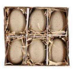 Koristemuna ruskea 6-pack TT