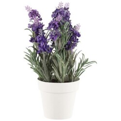 Laventeli ruukussa 26cm tummansininen