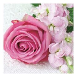 Ruusu pinkki lautasliina 24x24 cm 20kpl/pkt
