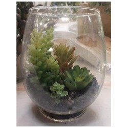 Mehikasvi lasipurkissa TT