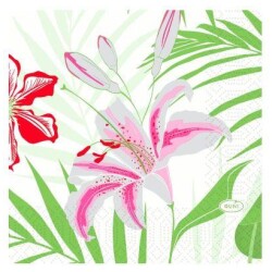 LautasliinaTropical Lily