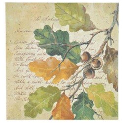 Lautasliina Finnmari syksyoksa 24x24 cm