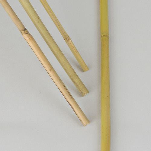 Kukkakeppi bambu 2m, 3kpl