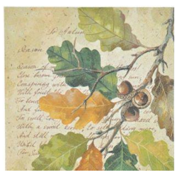 Lautasliina Finnmari syksyoksa 33x33 cm