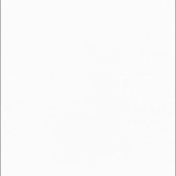 Valkoinen Lumo kartonki A4 10kpl/pkt 220g