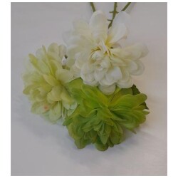 Kukka valkoinen vihrea TT