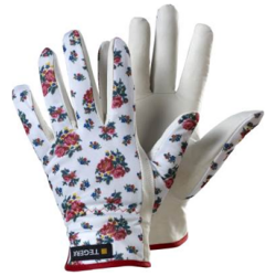 Puutarhakasine 8, Tegera Vuoreton, Pukin pintanahka