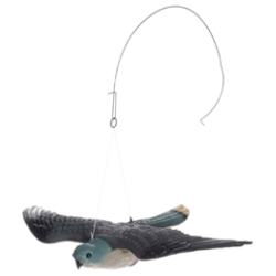 Pelotinhaukka 50x35cm