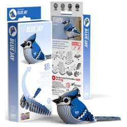 Eugy koottava Blue Jay