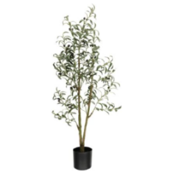 Oliivipuu 4Living 130 cm