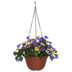 Orvokki amppeli 22 cm