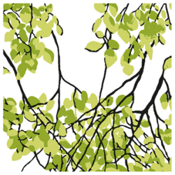 LEHTISADE GREEN lautasliina, VALLILA 33 x 33 20 kpl