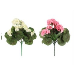 Pelargoniakimppu 35cm lajitelma
