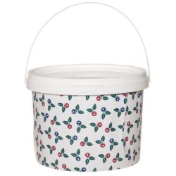 Sailontasanko Marjat kannella 3L