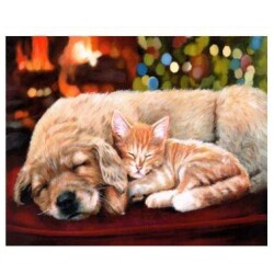 Numeromaalaus kehyst.Sleeping Compan