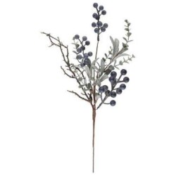 Koristeoksa siniset marjat 40 cm