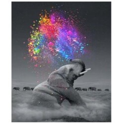 Numeromaalaus Kehyst. Elephant Art Colors