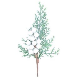 Marjaoksa valkoinen TTnippu