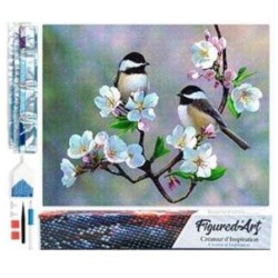 Timanttimaalaus 40x50cm linnut