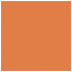 Lautasliina oranssi 24 cm