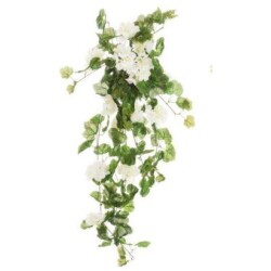 Pelargoniakimppu riippuva valkoinen 80cm