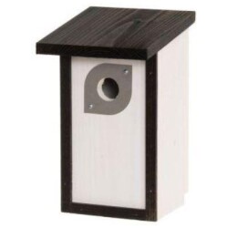 Tarmo Linnunpontto valkoinen