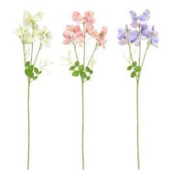 Tuoksuherne oksa 66 cm