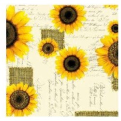 Vahakangas auringonkukka, vain myymalasta