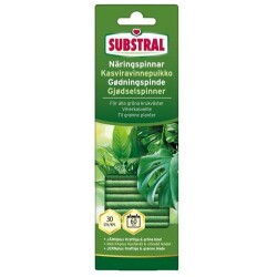Substral Ravinnepuikko viherkasveille 30 x 27 g