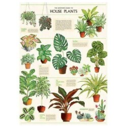 Juliste/Cavallini House Plants