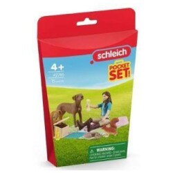 Schleich Pocket Set Picnic Lisan kanssa 42746