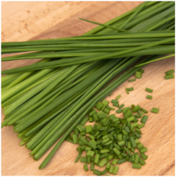 Tavallinen ruohosipuli 2026 09