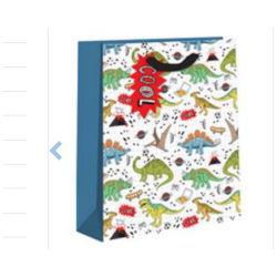 Lahjakassi Cool dino 26x32x12,5cm