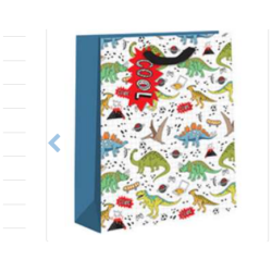 Lahjakassi Cool dino 21,5x25x10cm