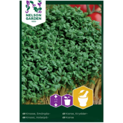 Voileipa krassi 2027 09