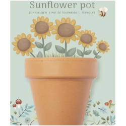 Ruukku Auringonkukan siemenilla Mitat: 18 x 27 x 53 cm Kokoelma: Fairy Garden Suositeltu ika: 3 vuotta