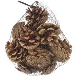 Kavyt 4-4,5cm 12-pack pussissa