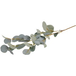 Koristeoksa Eucalyptus 90cm
