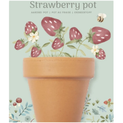 Ruukku Mansikan siemenilla