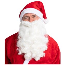 Winteria Joulupukin parta