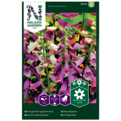 Sormustinkukka variseos