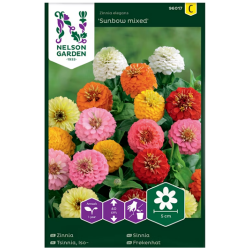 Iso Tsinnia variseos