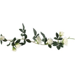 4Living Ruusukoynnos valkoinen 270 cm